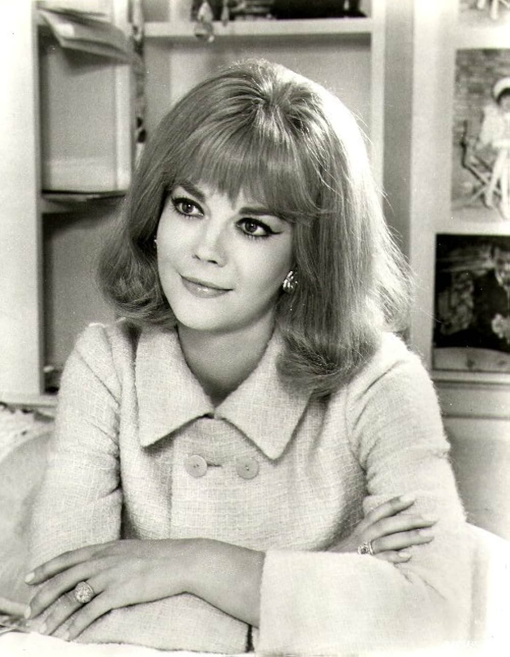 美人泥棒の画像