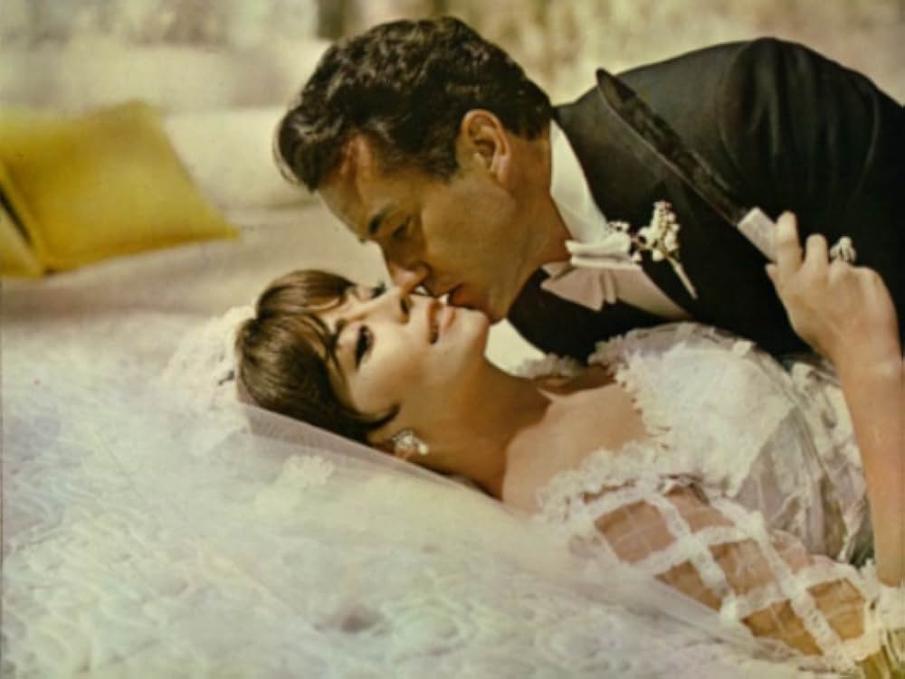 美人泥棒の画像