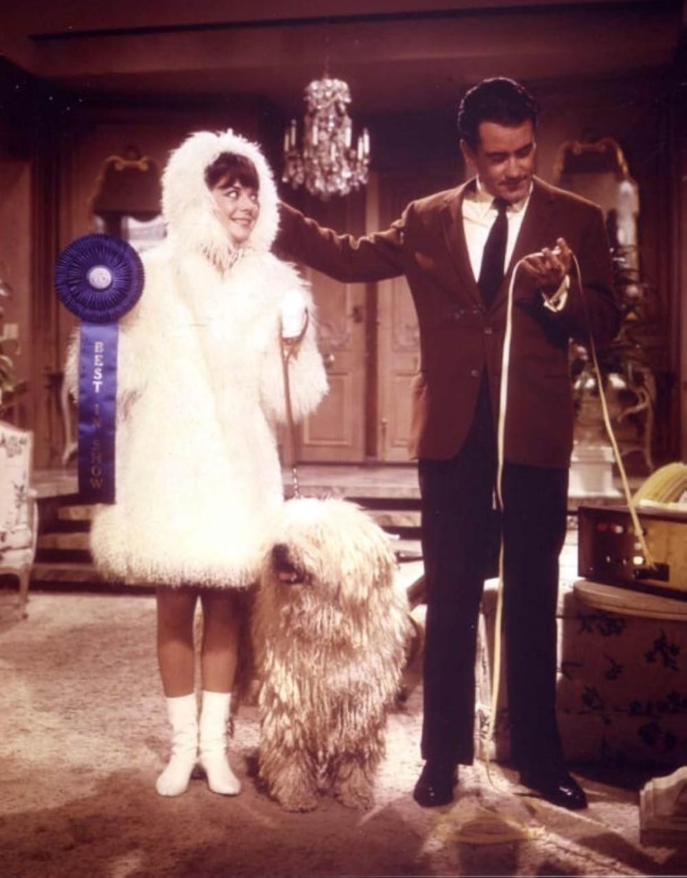 美人泥棒の画像