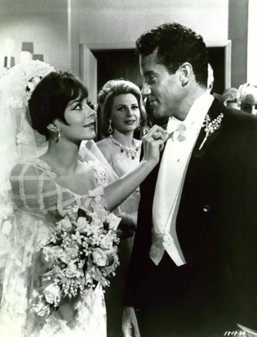 美人泥棒の画像