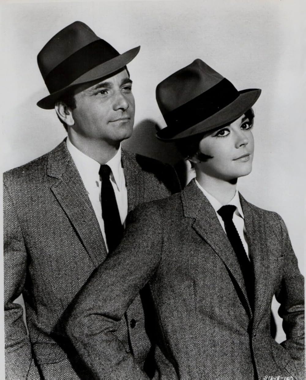 美人泥棒の画像