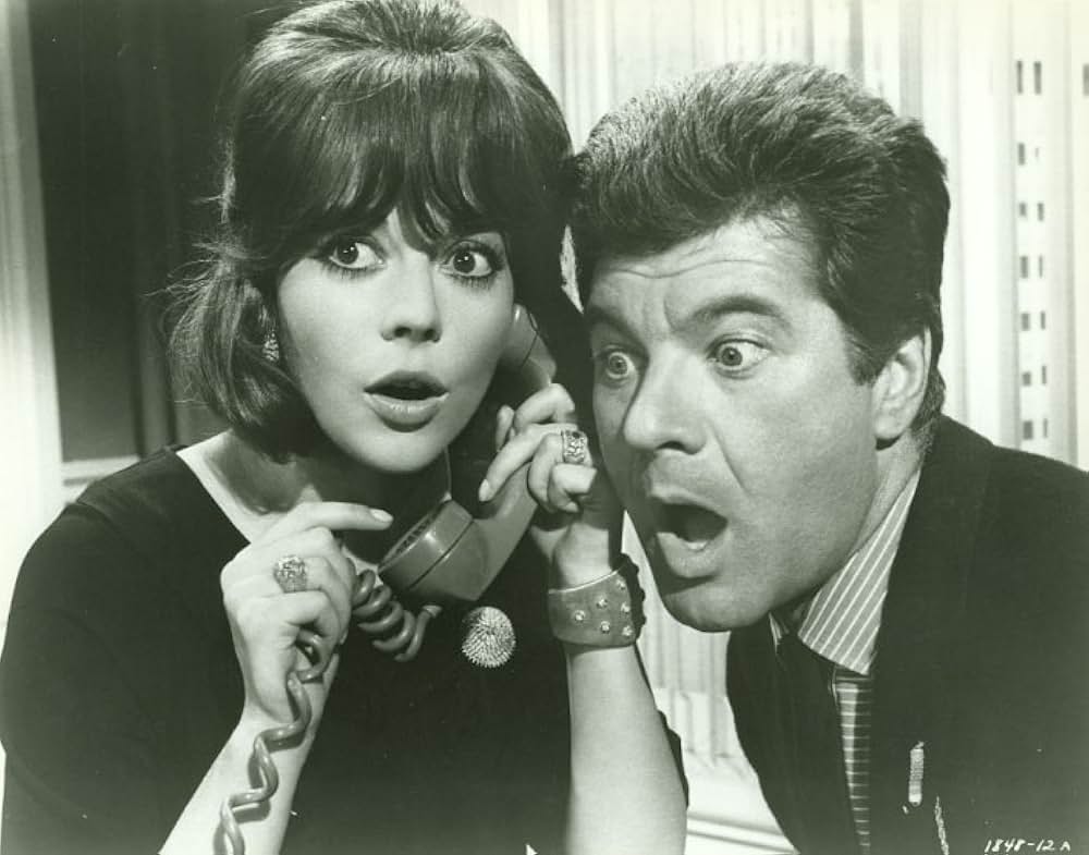 美人泥棒の画像