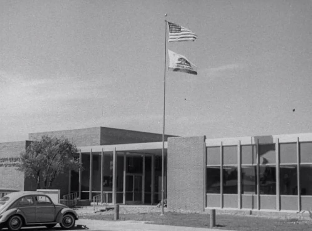 クリーピング・テラーの画像