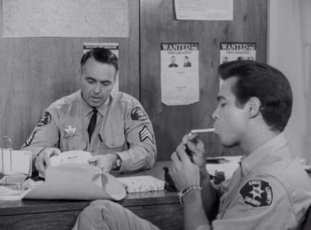 クリーピング・テラーの画像