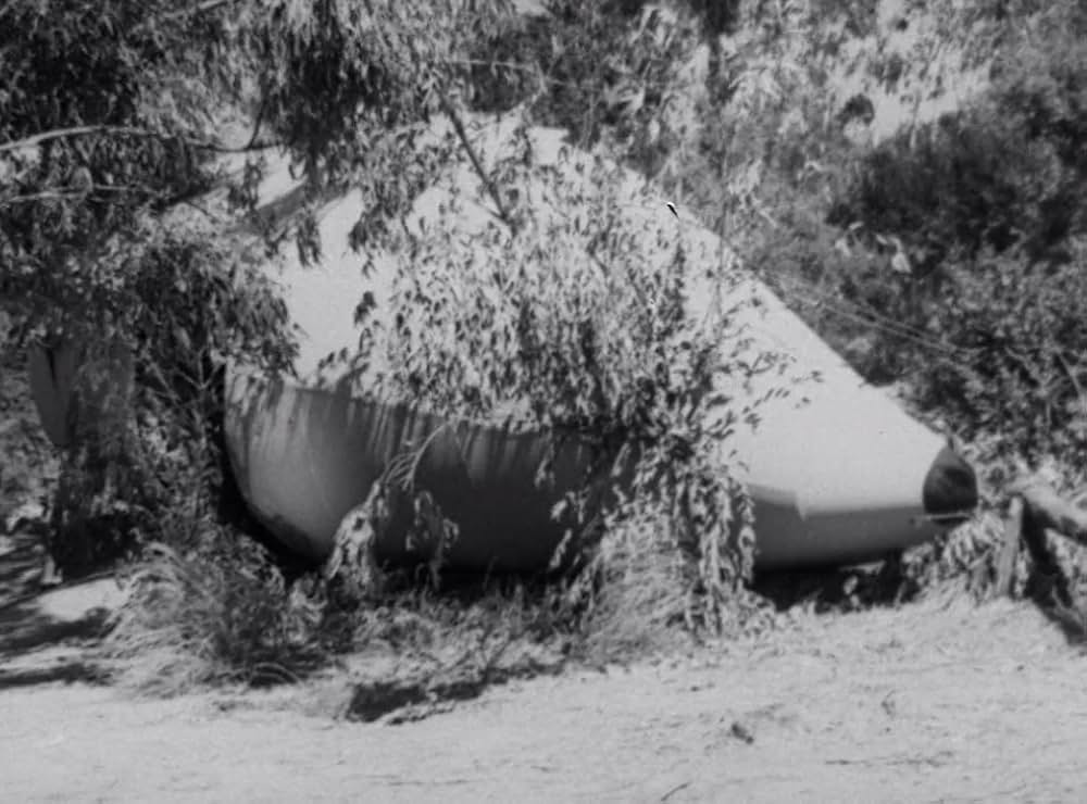 クリーピング・テラーの画像