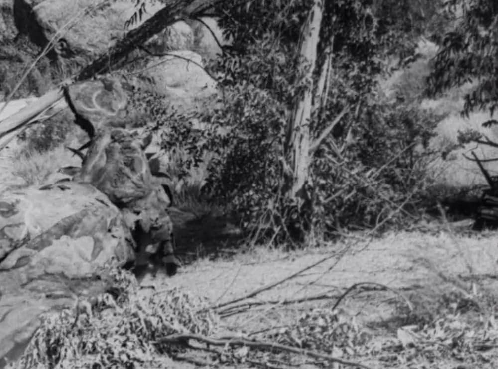 クリーピング・テラーの画像