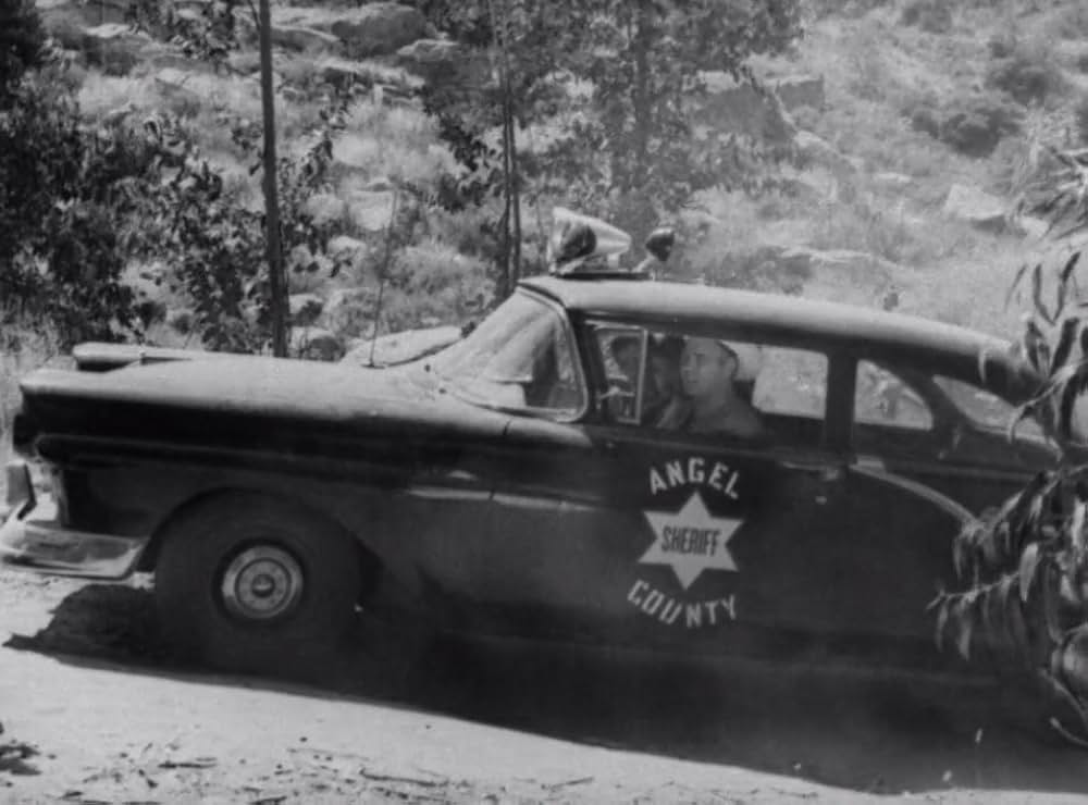 クリーピング・テラーの画像