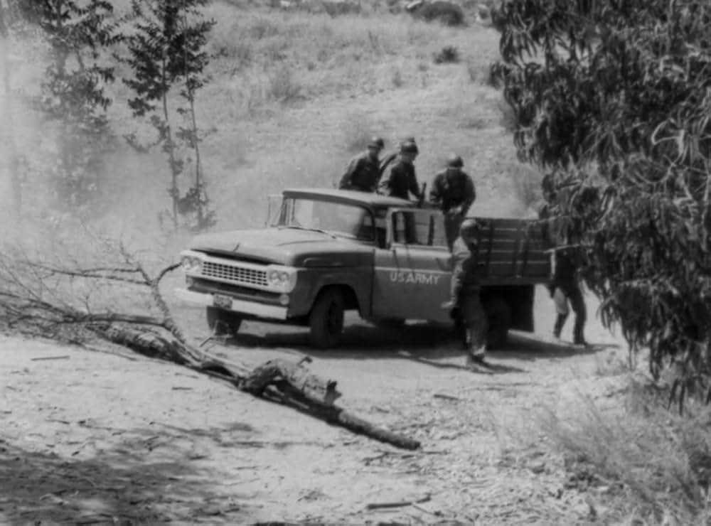 クリーピング・テラーの画像