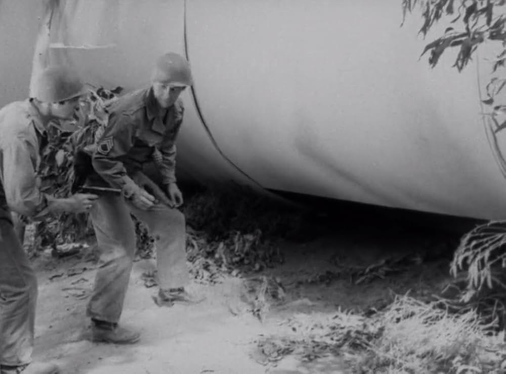 クリーピング・テラーの画像