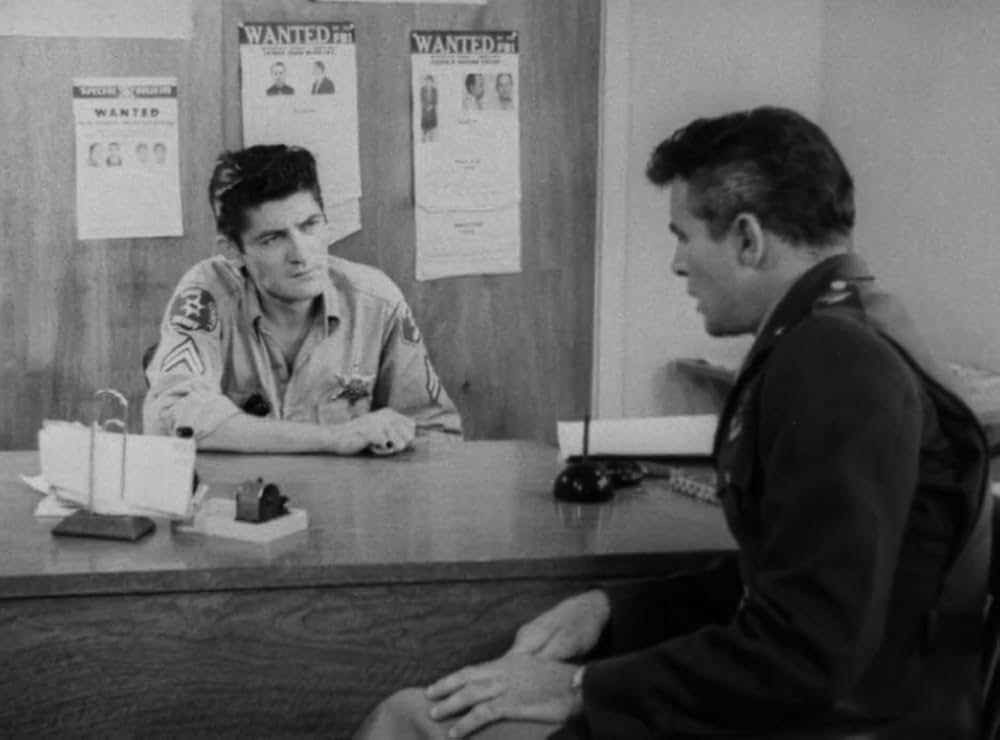 クリーピング・テラーの画像