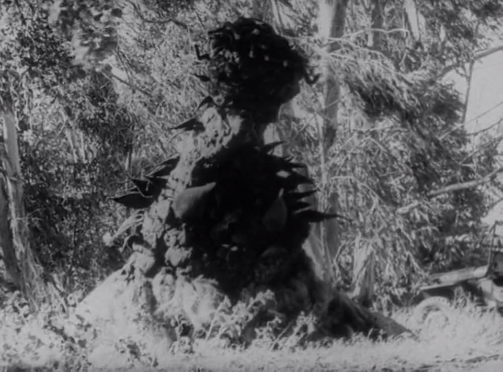 クリーピング・テラーの画像