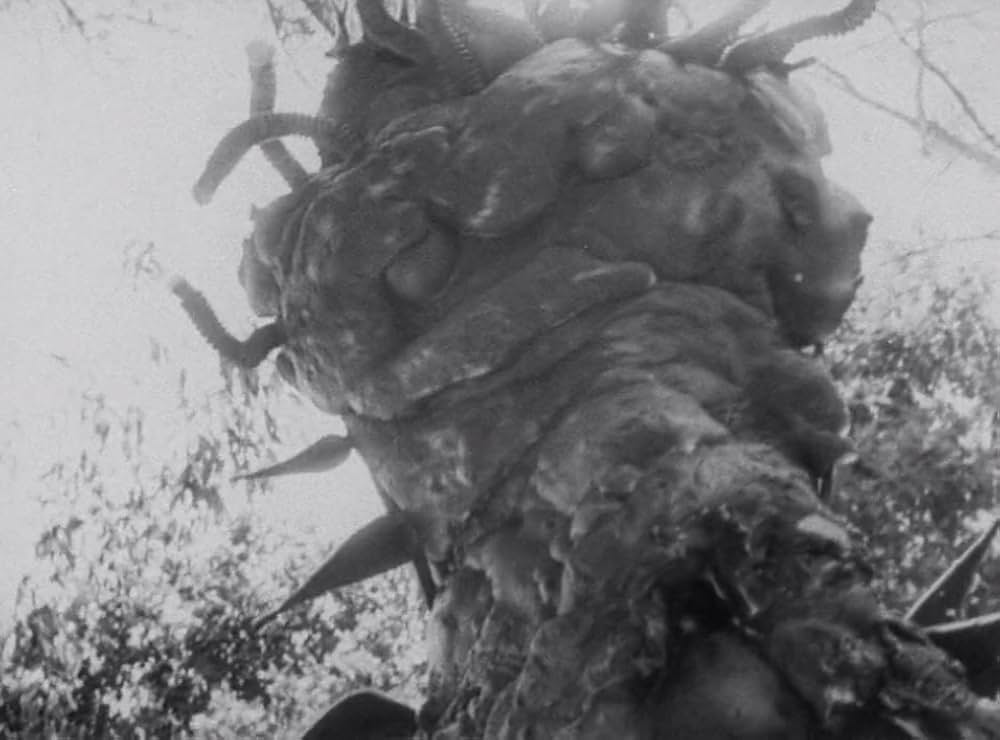 クリーピング・テラーの画像