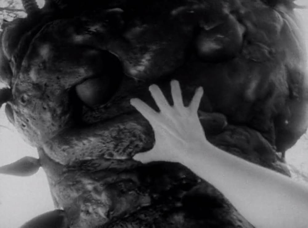 クリーピング・テラーの画像