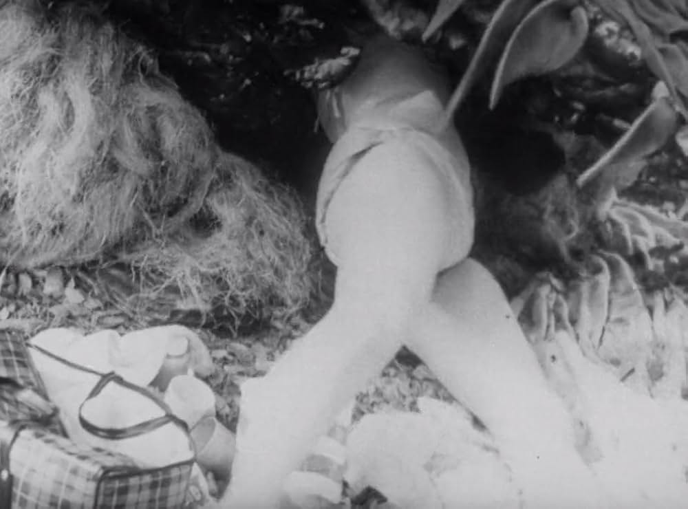 クリーピング・テラーの画像