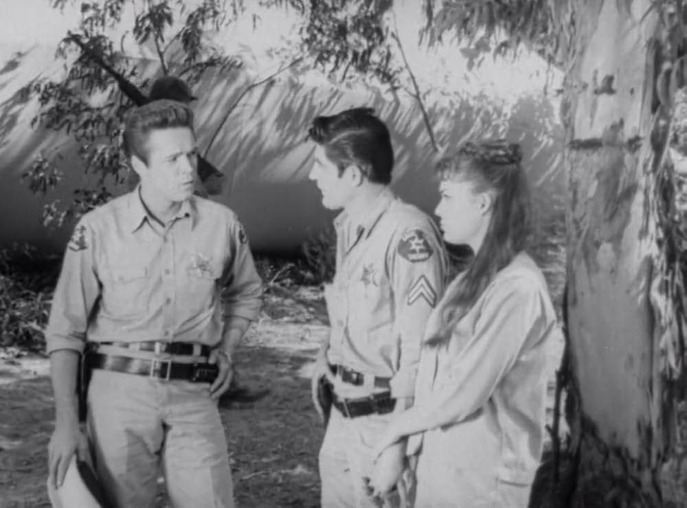 クリーピング・テラーの画像