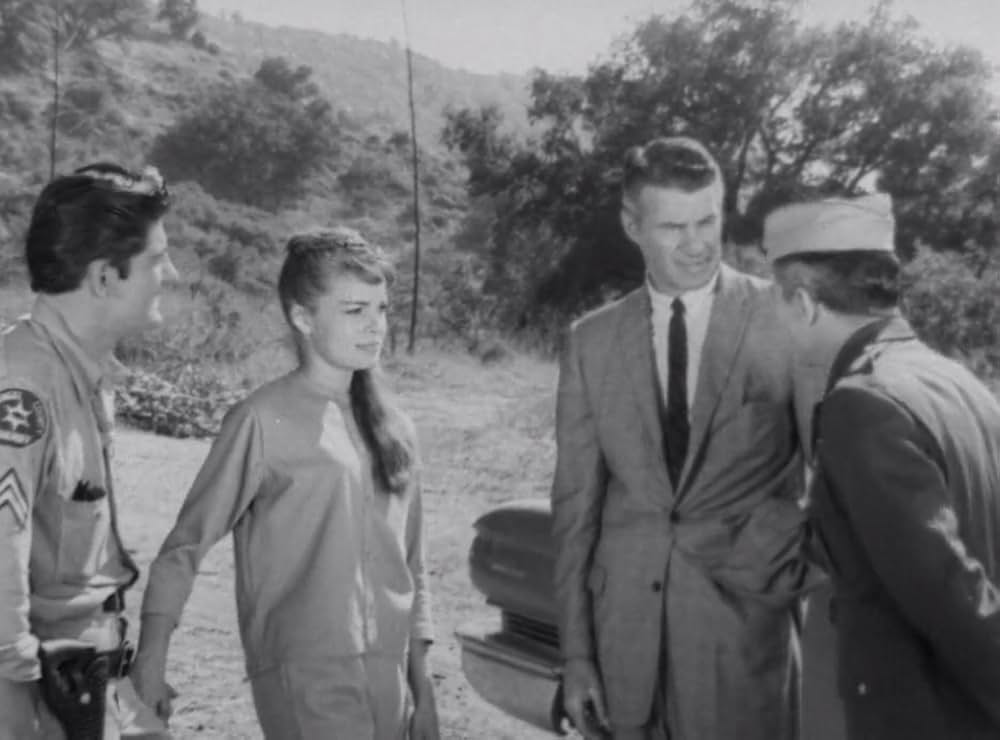 クリーピング・テラーの画像