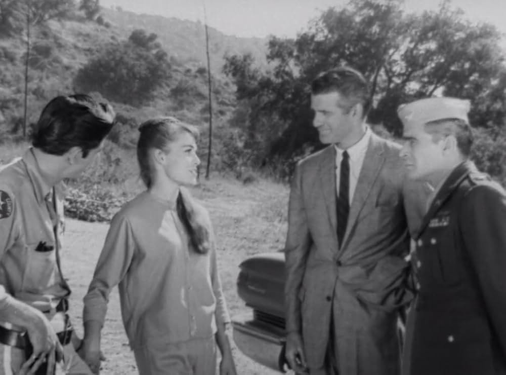 クリーピング・テラーの画像