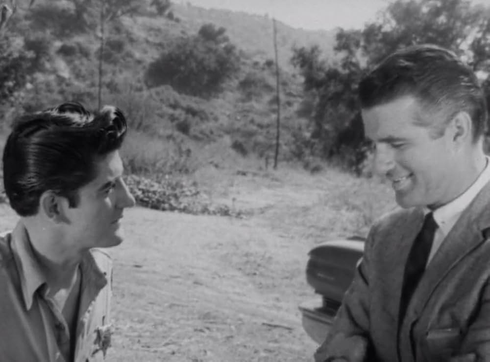 クリーピング・テラーの画像