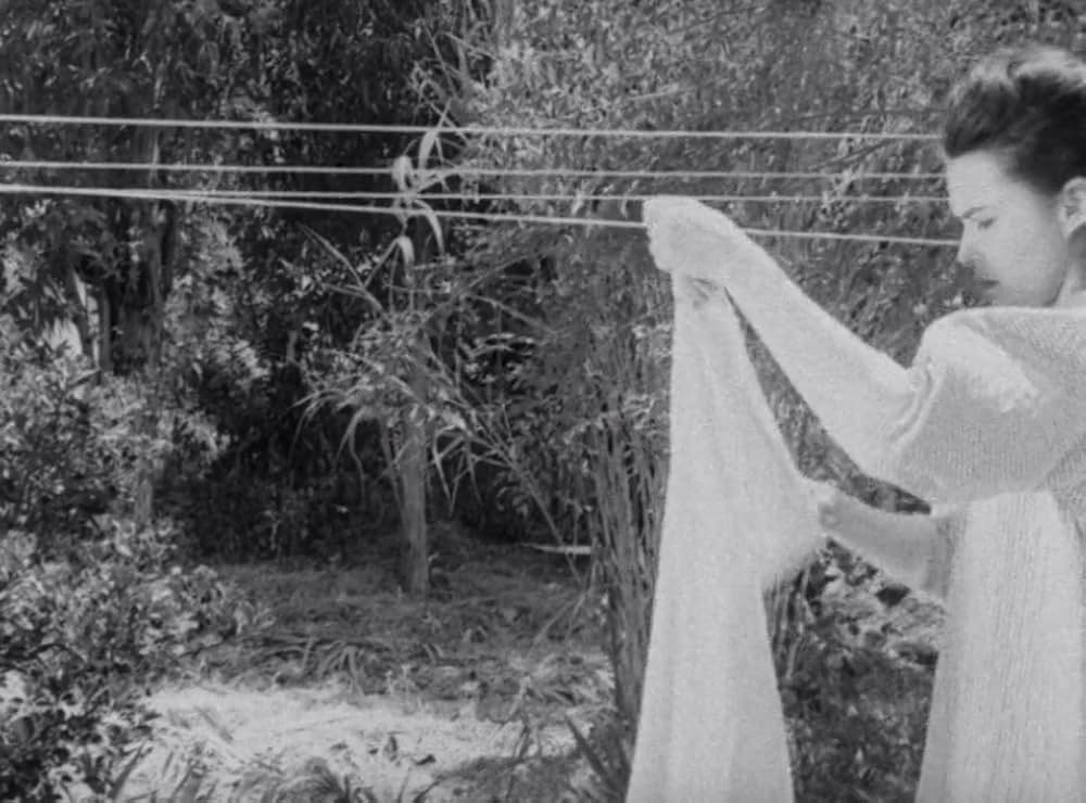 クリーピング・テラーの画像