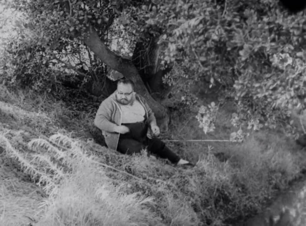 クリーピング・テラーの画像