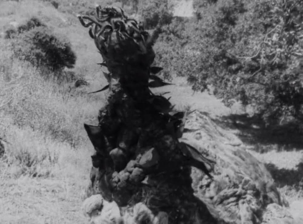 クリーピング・テラーの画像