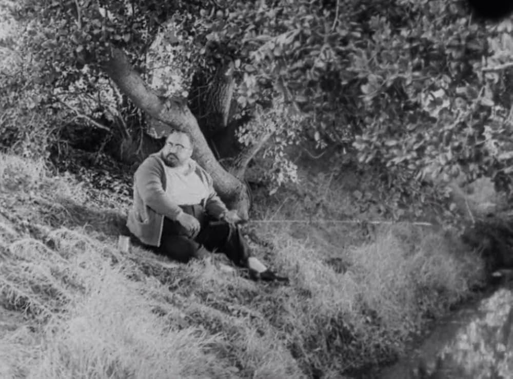 クリーピング・テラーの画像