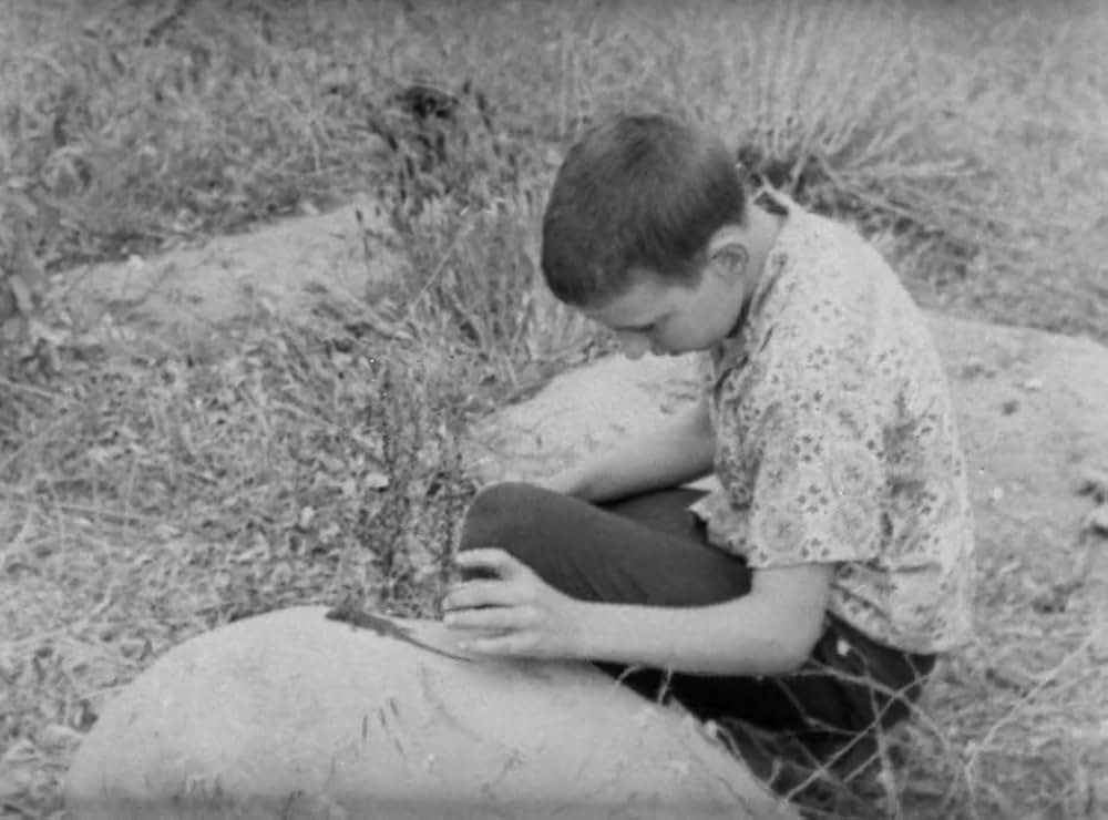 クリーピング・テラーの画像