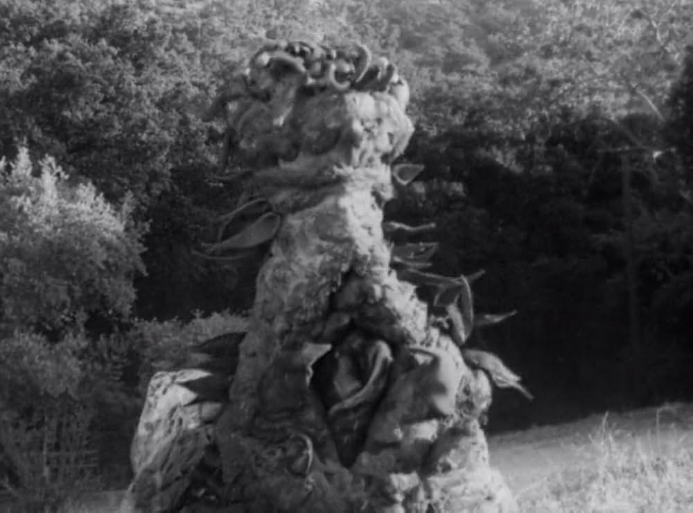 クリーピング・テラーの画像