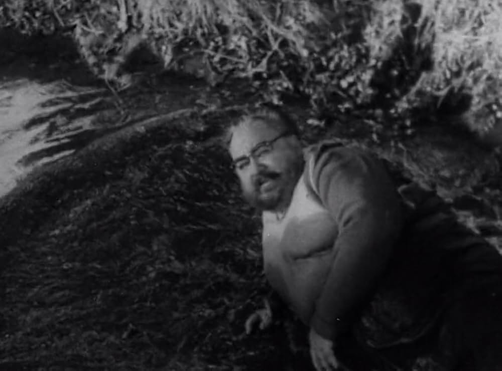 クリーピング・テラーの画像