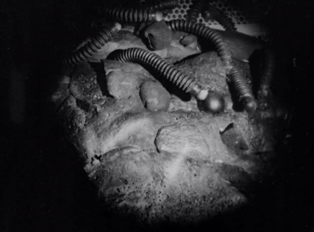 クリーピング・テラーの画像