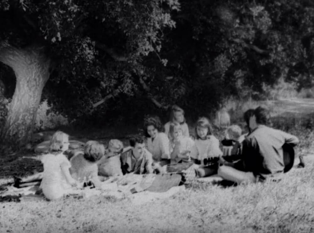 クリーピング・テラーの画像