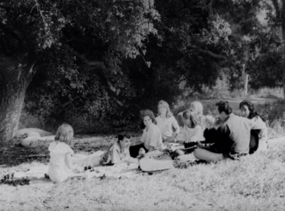 クリーピング・テラーの画像