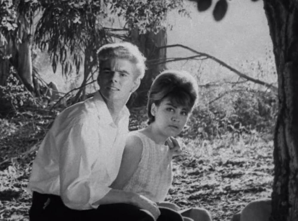 クリーピング・テラーの画像