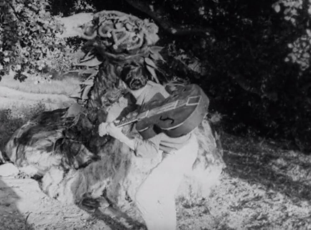 クリーピング・テラーの画像