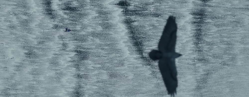 イヴァルの画像