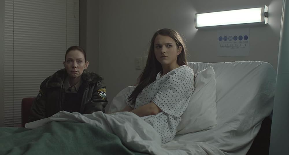 The Wolf of Snow Hollow（原題）の画像