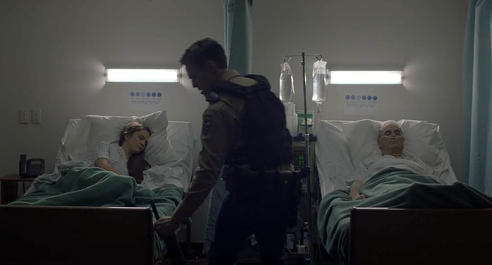 The Wolf of Snow Hollow（原題）の画像