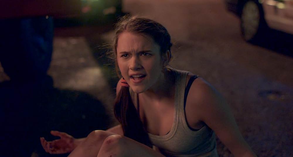 The Wolf of Snow Hollow（原題）の画像