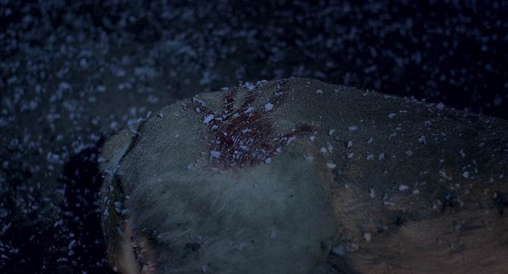 The Wolf of Snow Hollow（原題）の画像