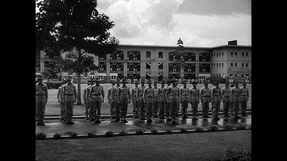 「地上より永遠に」の画像