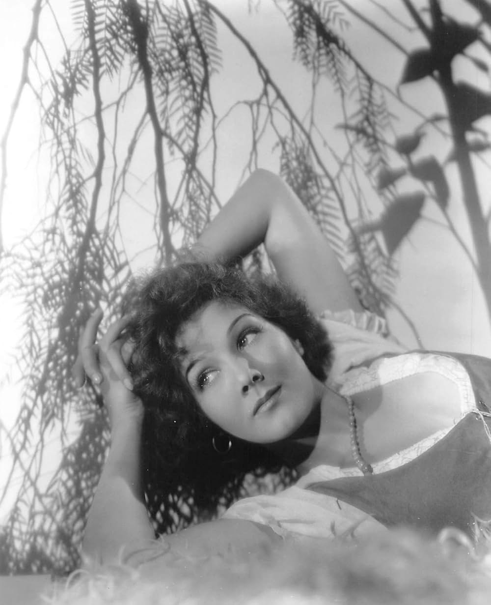 キャラヴァンの画像