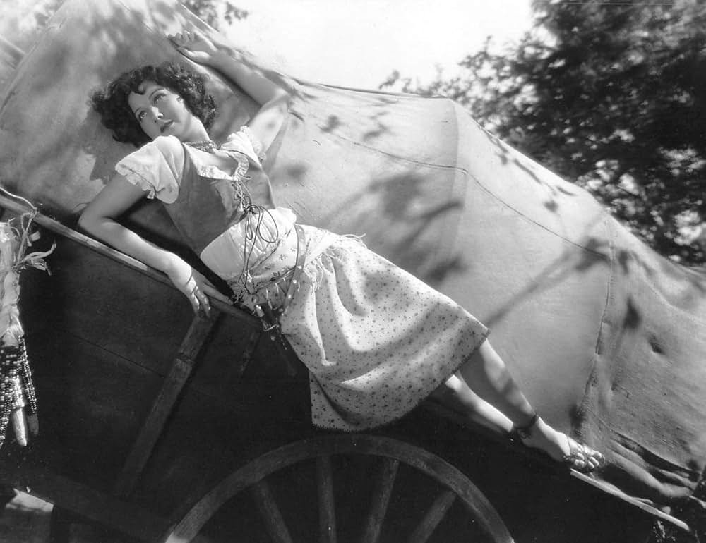 キャラヴァンの画像