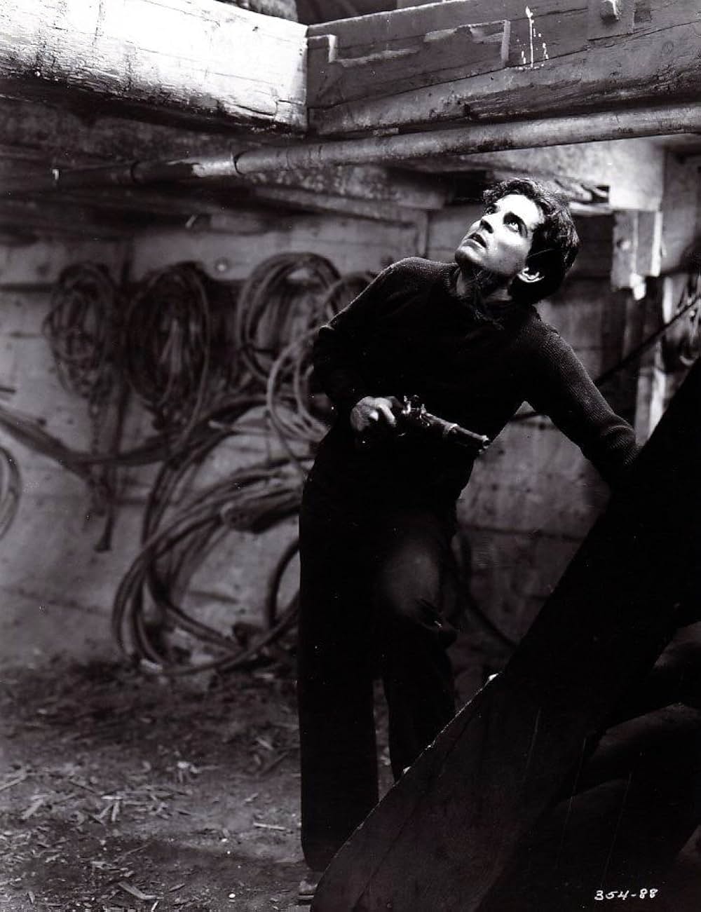 シンガポールの画像