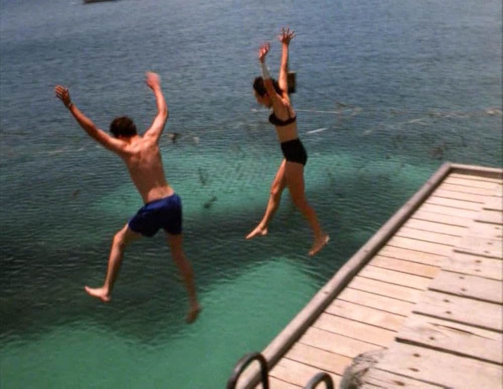 キス・オア・キルの画像