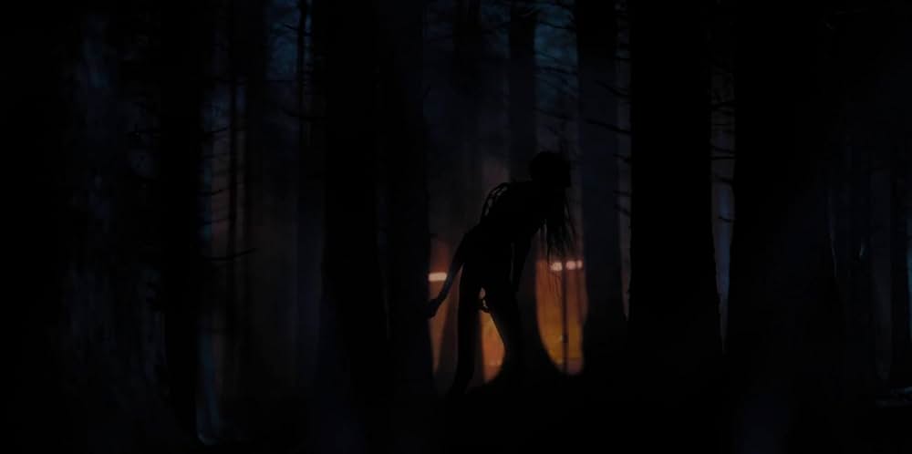 ザ・ウォッチャーズの画像