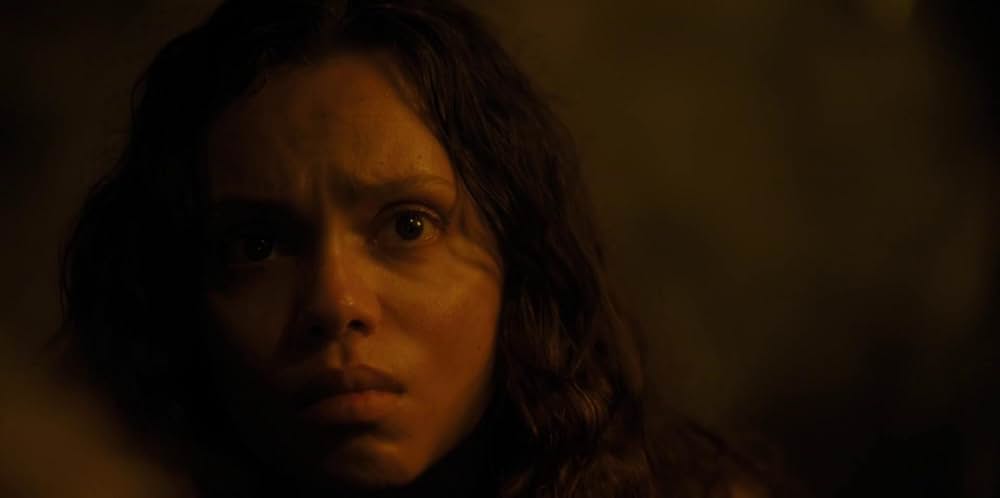 ザ・ウォッチャーズの画像