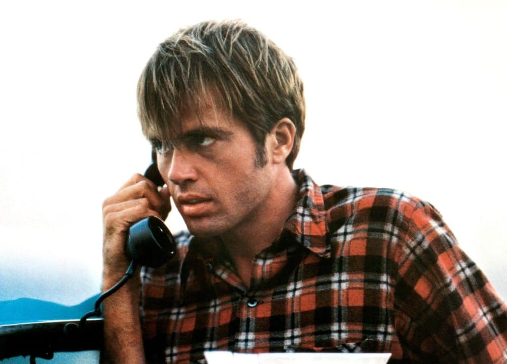 Citizens Band（原題）の画像