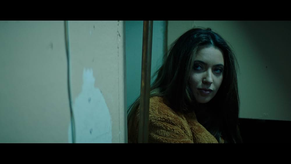 バタフライズの画像