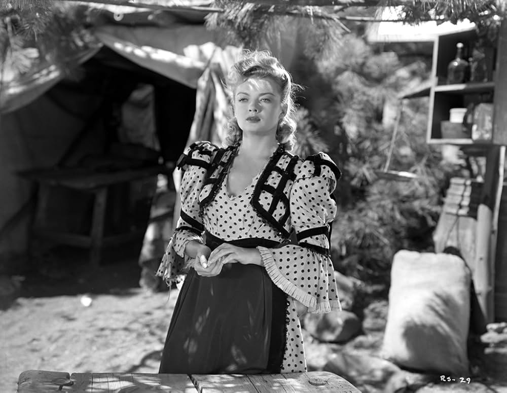 渓谷の銃声の画像