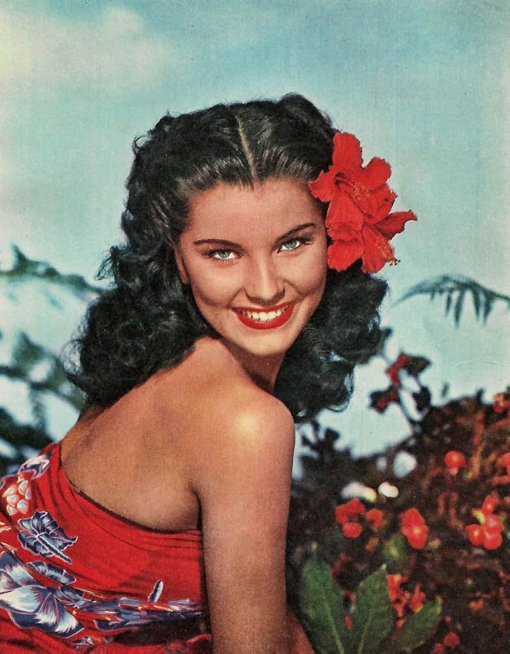 南海の劫火の画像